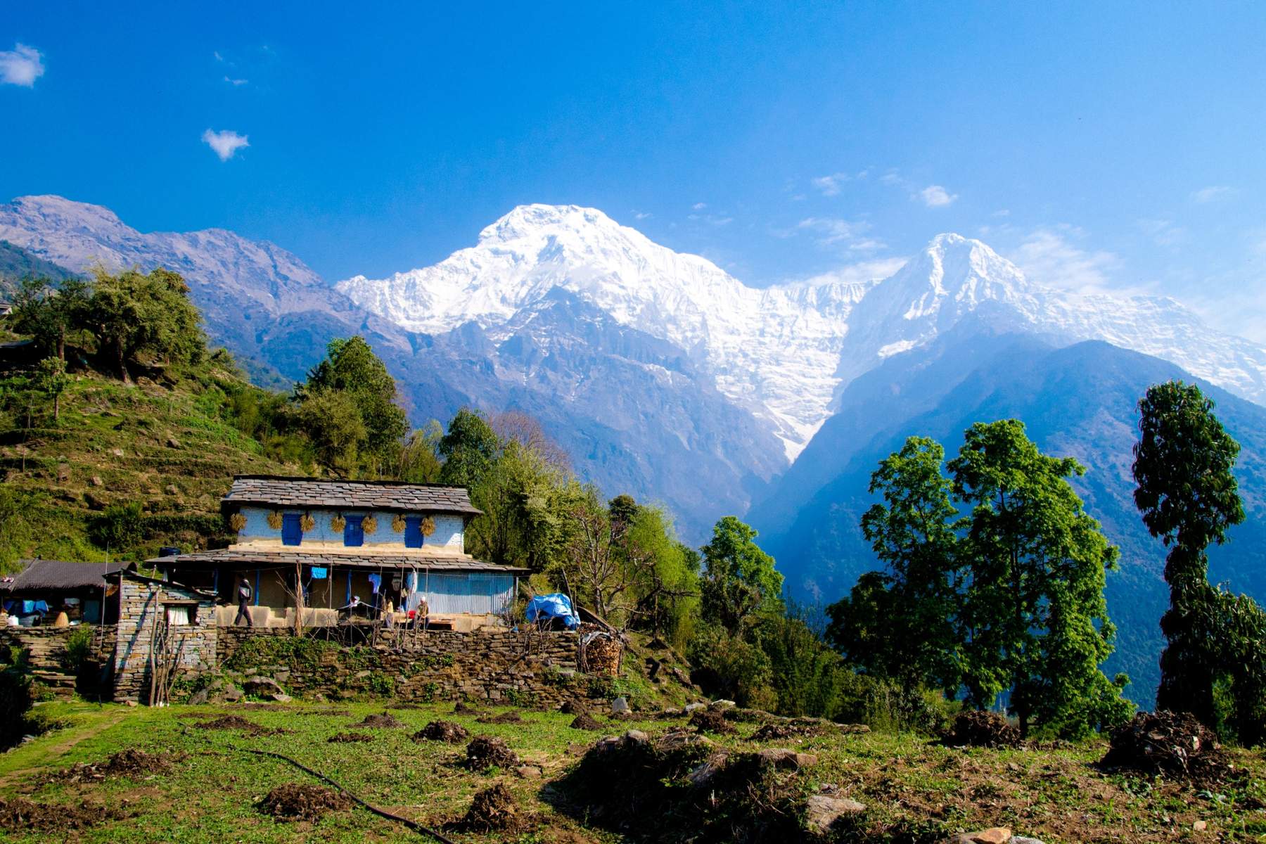 nepal 1